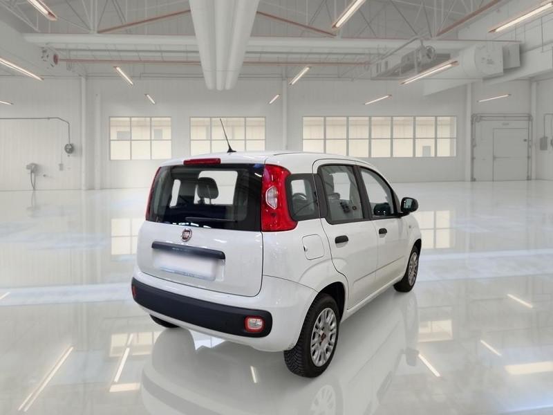 FIAT PANDA 1.2 69 CV SES E6D-TEMP EASY 5 PORTE BERLINA