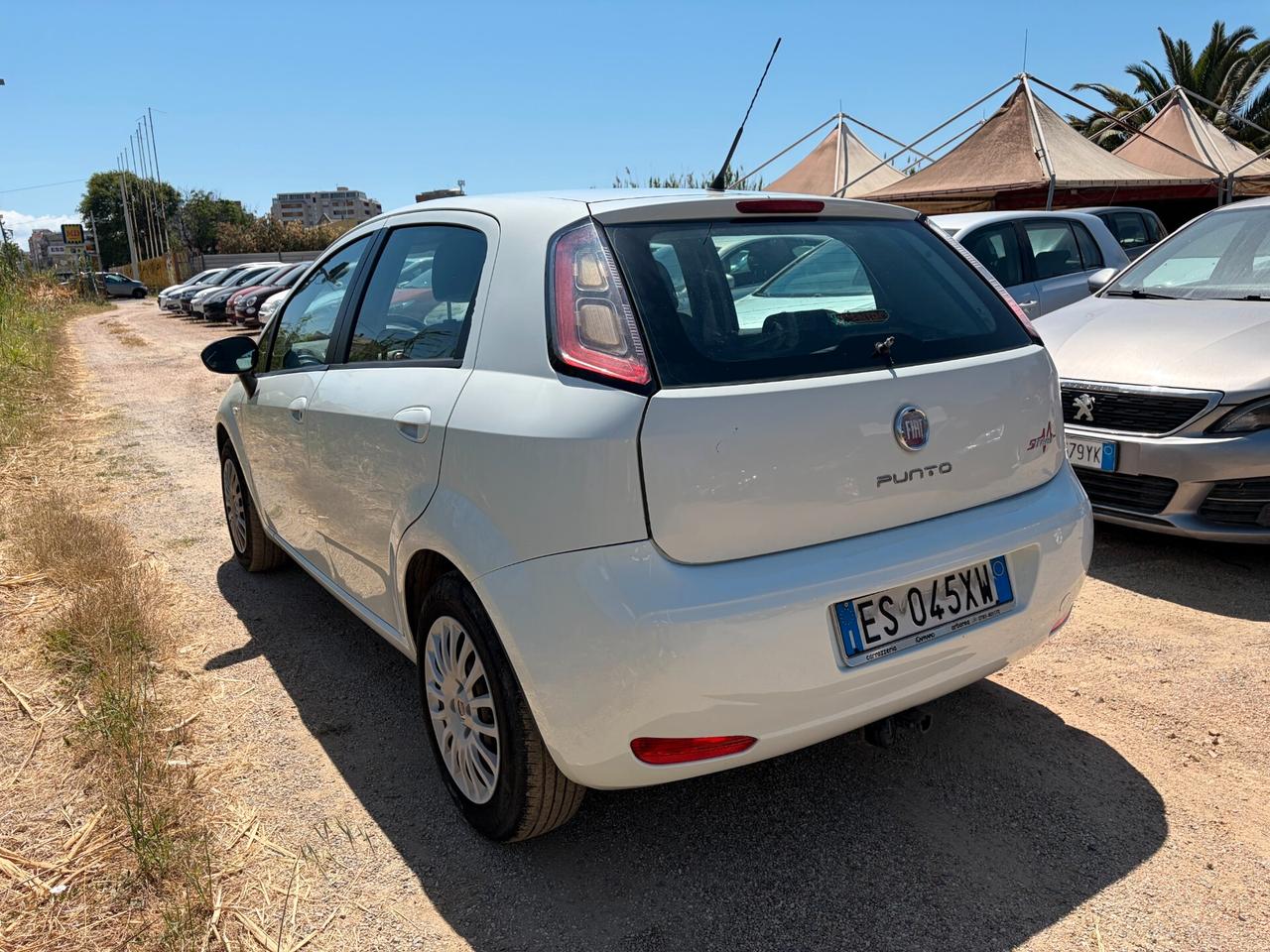 FIAT PUNTO EVO 1.2 125.000 KM ANNO 2014 69CV NEOPATENTATI
