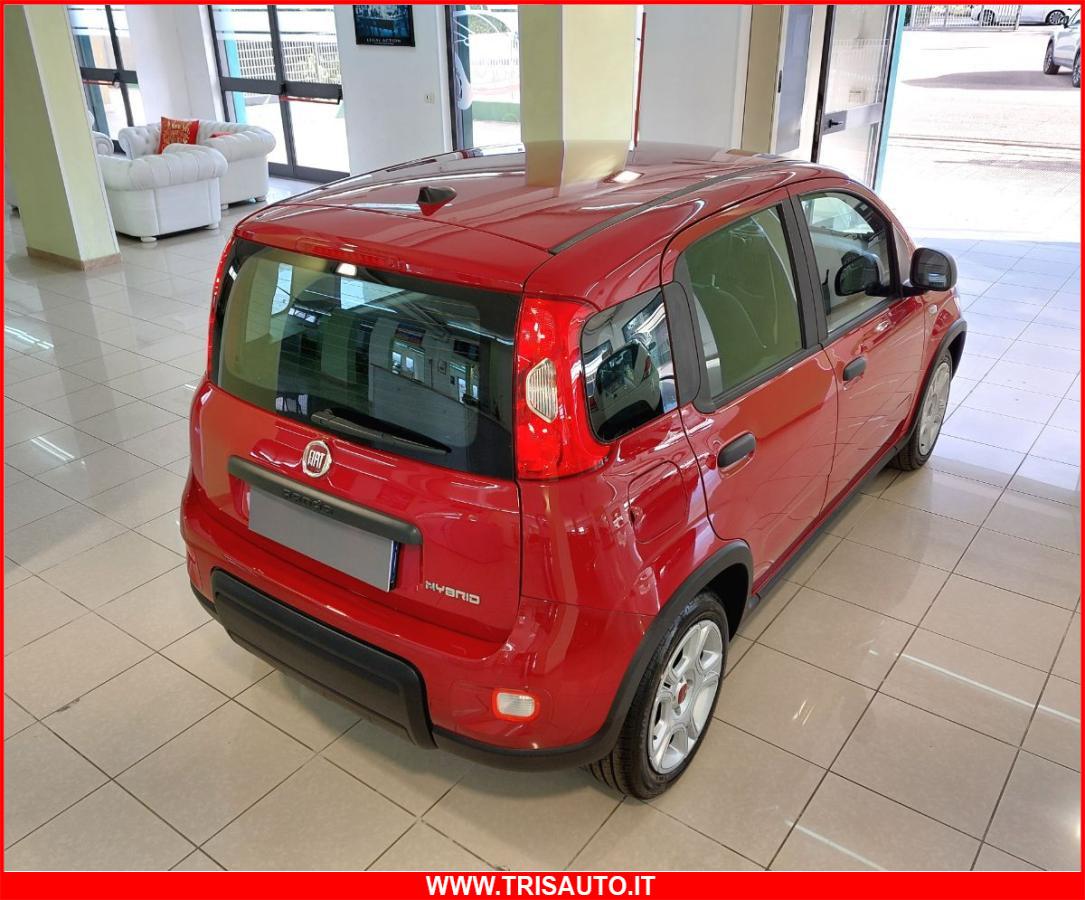 FIAT Panda 1.0 FireFly S&S Hybrid MY24 KM ZERO!!! IVATA NEOPATENTATI