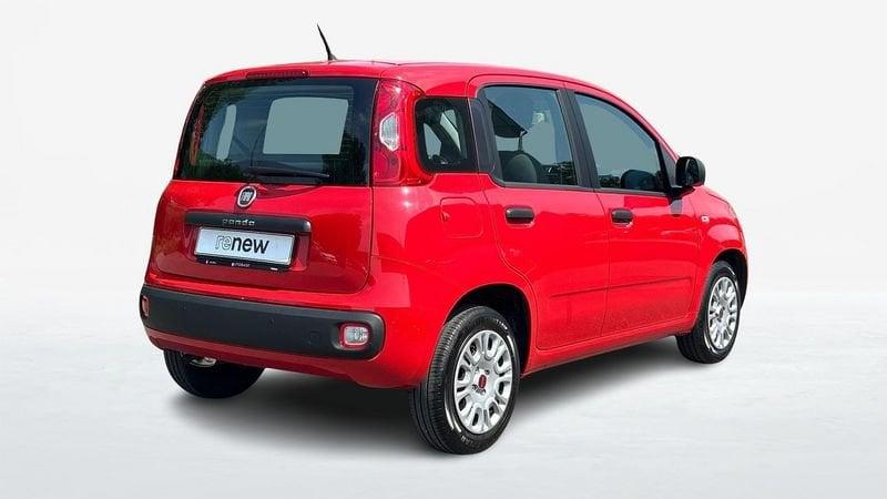 FIAT Panda 1.2 Easy s&s 69cv my19