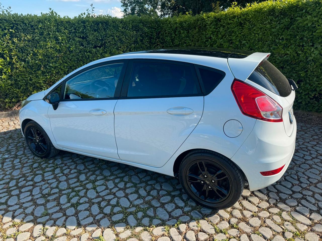 FORD Fiesta 1.5TDCi 75CV 5 porte ST-Line - 2017