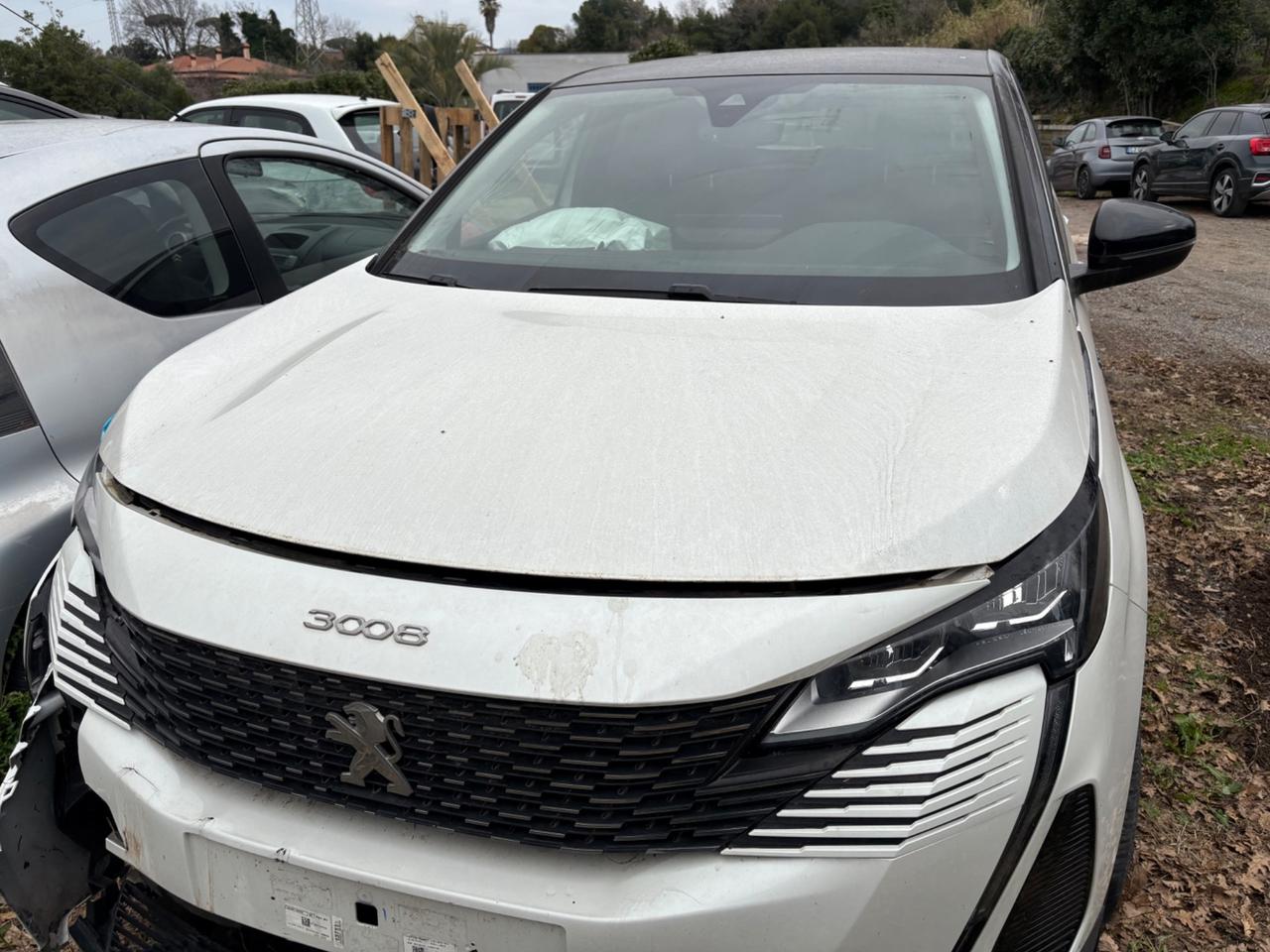 Peugeot 3008 Incidentata