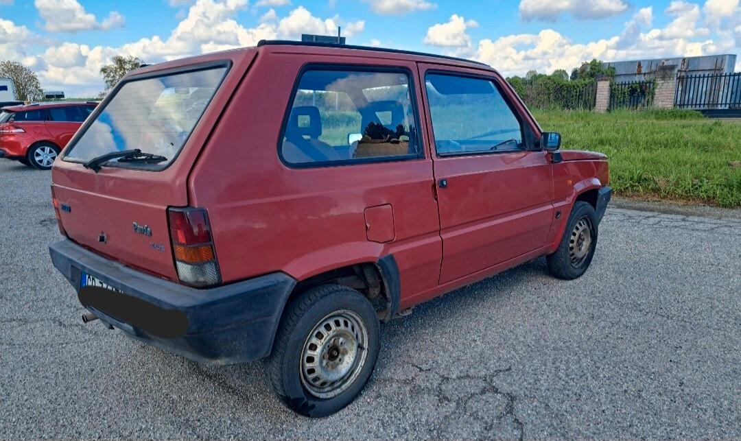 Fiat Panda 1100 i.e. cat Young