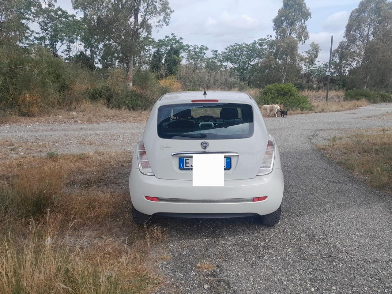 Lancia Ypsilon 1.2 69 CV