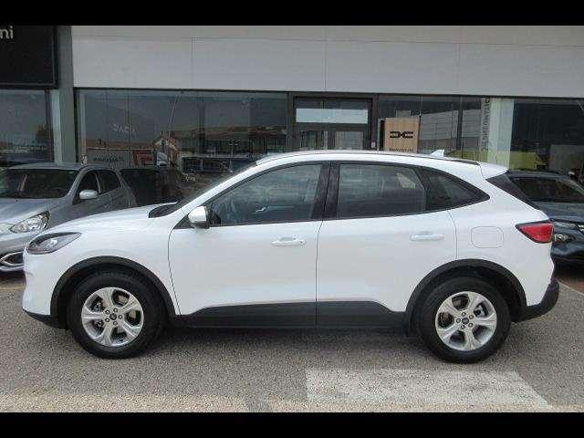 Ford Kuga 1.5 EcoBlue 120cv Titanium Business 2WD Auto