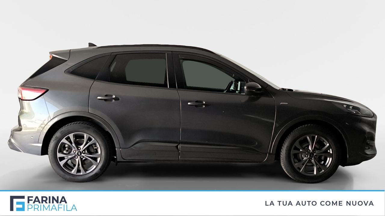 FORD Kuga III 2020 - Kuga 1.5 ecoblue ST-Line X 2wd 120cv auto