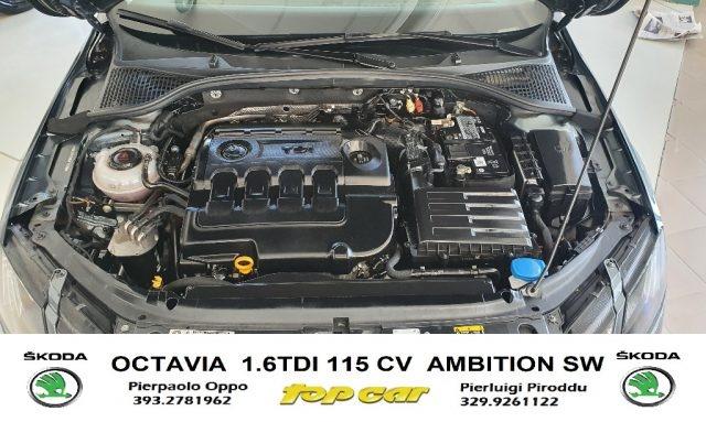 SKODA Octavia 1.6 TDI 115 CV Wagon Ambition