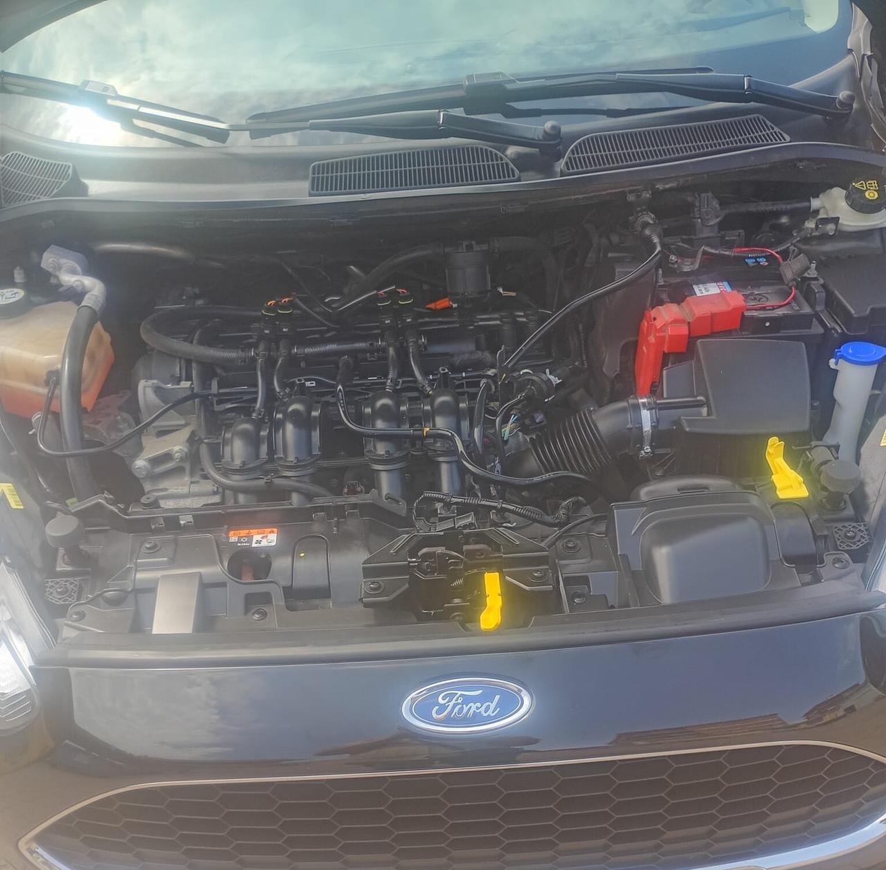 Ford Fiesta - APERTI AD AGOSTO