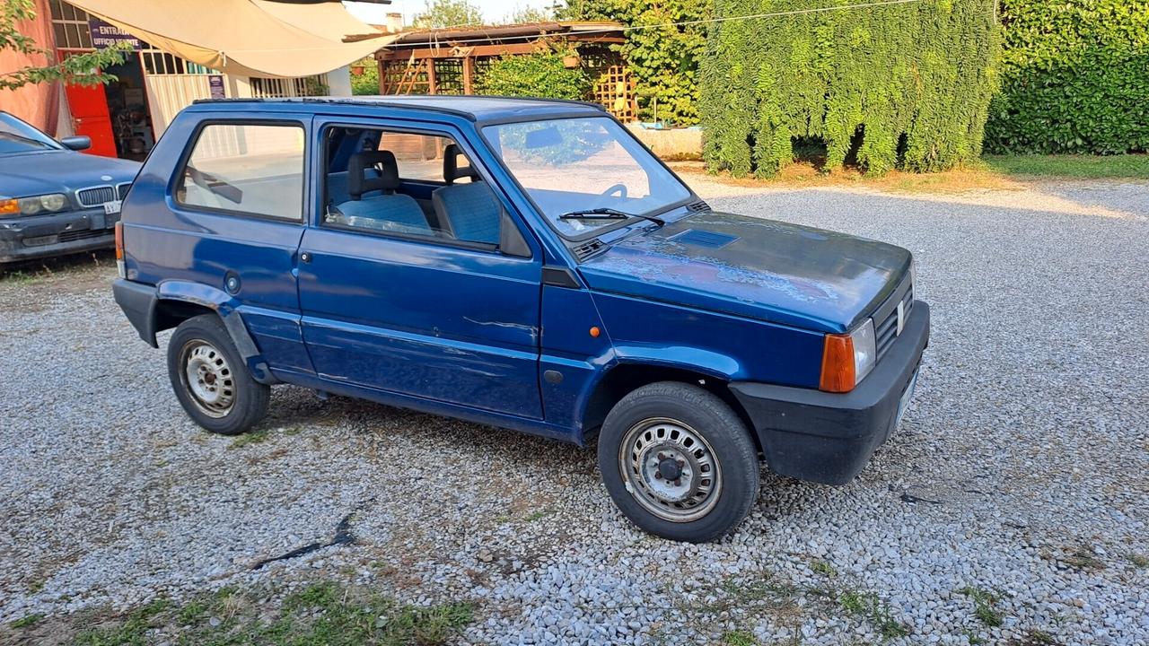 Fiat Panda 900i cat