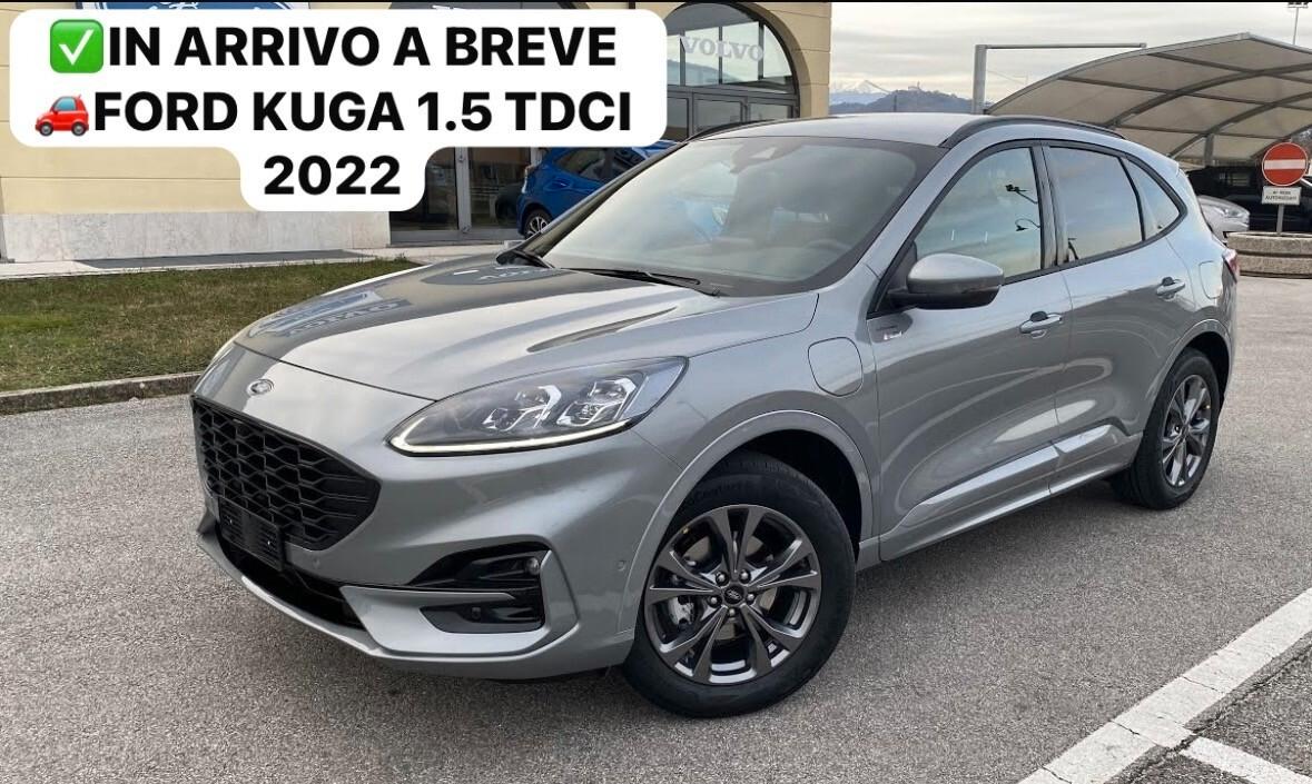 FORD KUGA 1.5 TDCI 120 CV. E6 2WD ST-LINE FULL PERFETTA