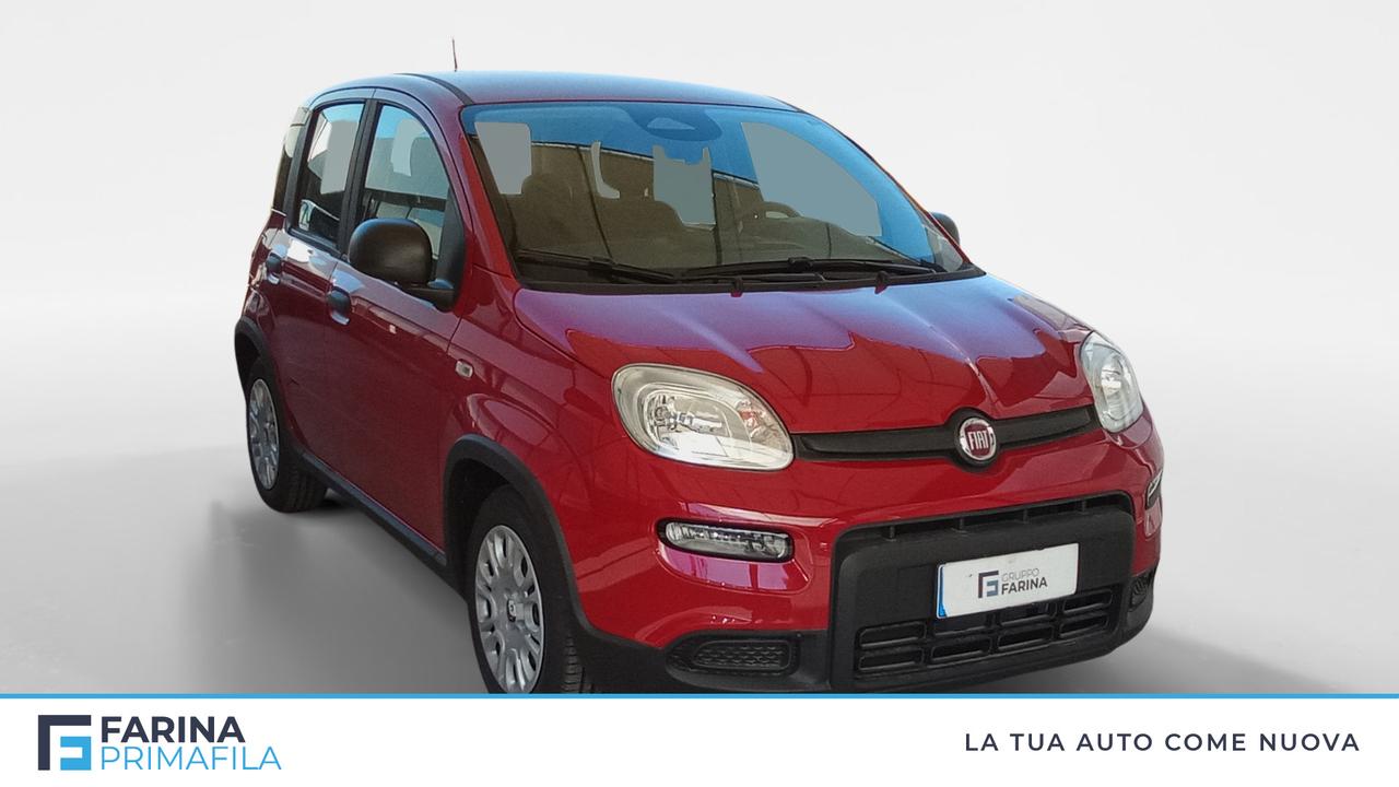 FIAT Panda 1.0 70cv Hybrid Panda