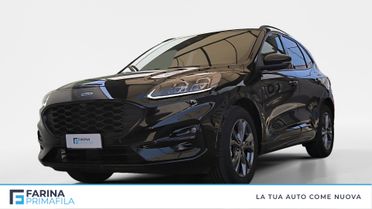 FORD Kuga III 2020 - Kuga 2.5 full hybrid ST-Line 2wd 190cv cvt