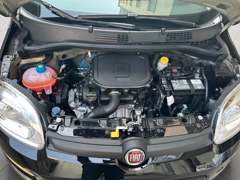 FIAT Panda 3ª serie Panda 1.0 FireFly S&S Hybr...
