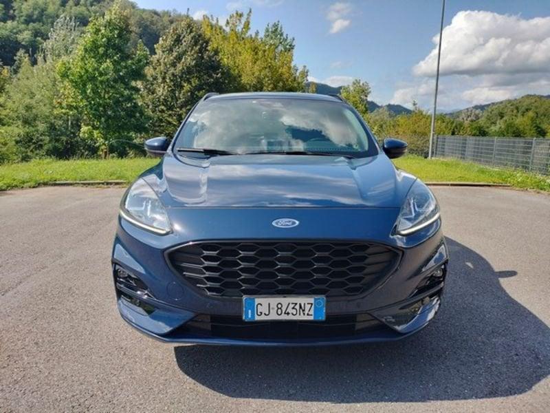 Ford Kuga Kuga 1.5 EcoBlue 120 CV 2WD ST-Line