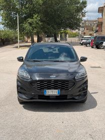 Ford Kuga 1.5 EcoBlue 120 CV 2WD ST-Line X