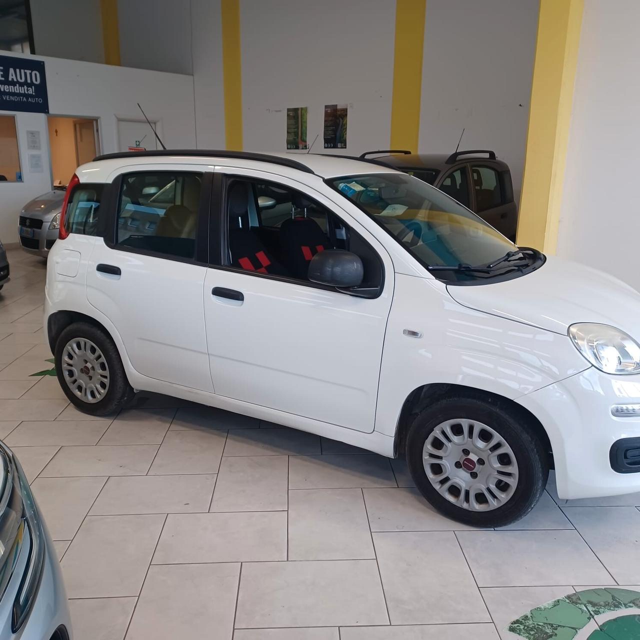 GARANZIA 12 MESI FIAT PANDA 1.2