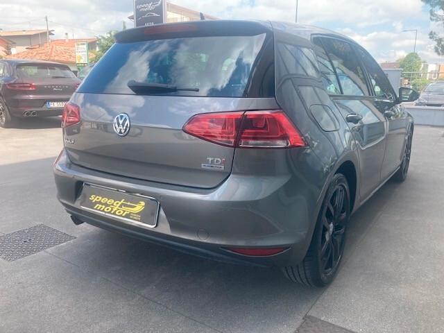 Volkswagen Golf 1.6 TDI DSG 5p. Highline BlueMotion Technology