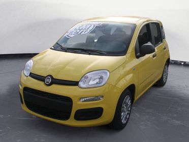 FIAT Pandina Pandina 1.0 FireFly 65 CV Hybrid Icon