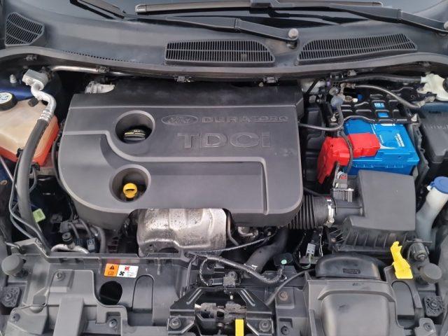 FORD Fiesta 1.5 TDCi 75CV 5 porte Business