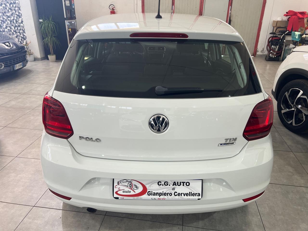 Volkswagen Polo 1.4 90 CV - Fresh BlueMotion - 2014