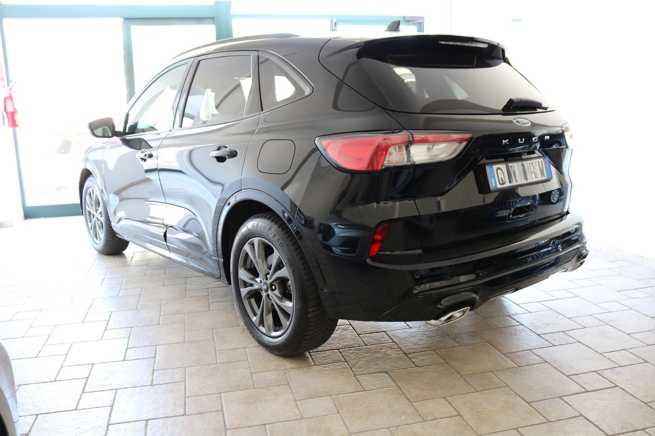 Ford Kuga 2.0 EcoBlue 120 CV aut. 2WD ST-Line Business