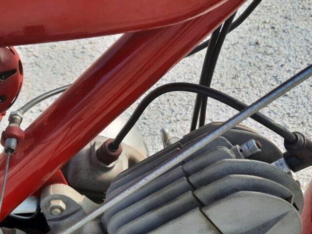 Moto Guzzi Altro Moto Guzzi GUZZINO 65b - 1950