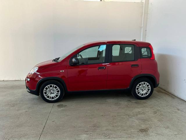 FIAT Panda 1.0 FireFly S&S Hybrid PREZZO VERO