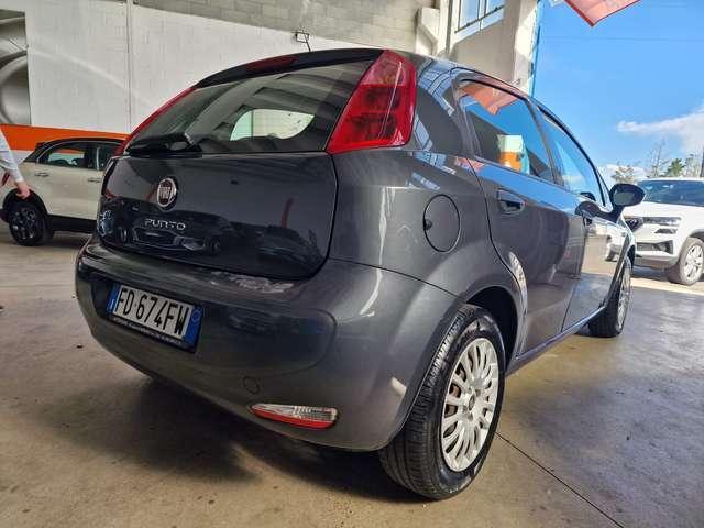 Fiat Punto Punto 5p 1.2 Young