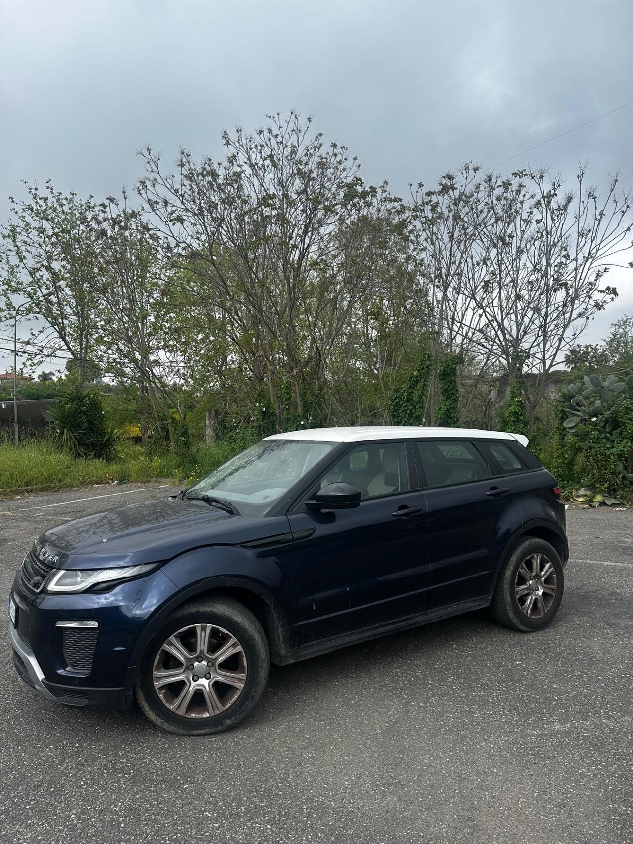 Land Rover Range Evoque 2.0 TD4 180 CV 5p. Business Edition