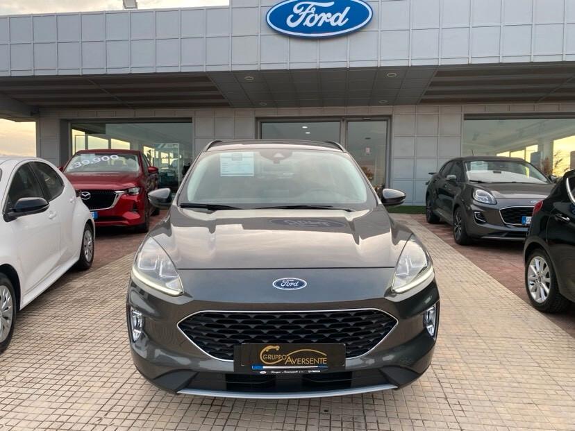 Ford Kuga 1.5 EcoBlue 120 CV 2WD Connect