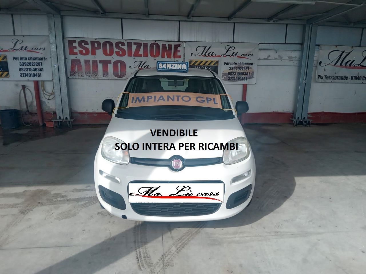 Fiat Panda 1.2 cc GPL(PRIVATO)-2012