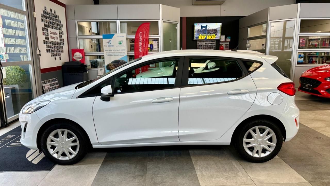 Ford Fiesta 1.5 EcoBlue 5 porte Business