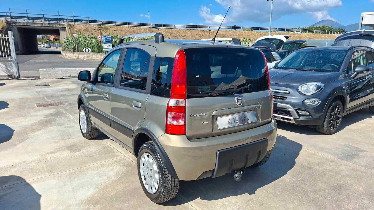 Fiat Panda 1.2 Benzina 2011 4x4 Climbing