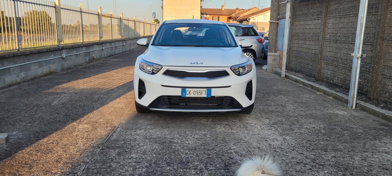Kia Stonic 1.2 DPI ECO GPL Style