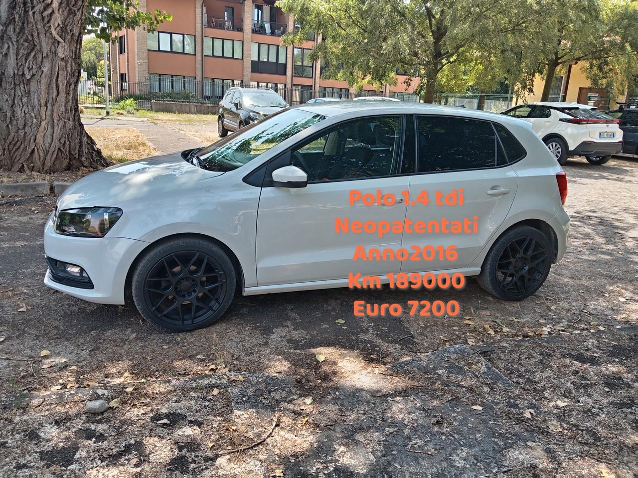 Volkswagen Polo 1.4 TDI 5p. Trendline