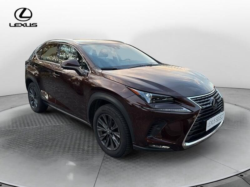 Lexus NX Hybrid 4WD Premium 300H