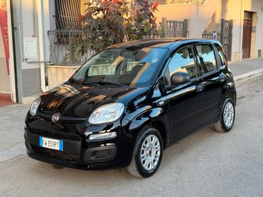 Fiat Panda 1.2 69CV Easy *5 POSTI - 2019
