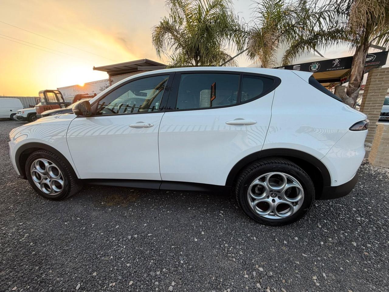 Alfa Romeo Tonale 1.6 diesel 130 CV TCT6 Sprint