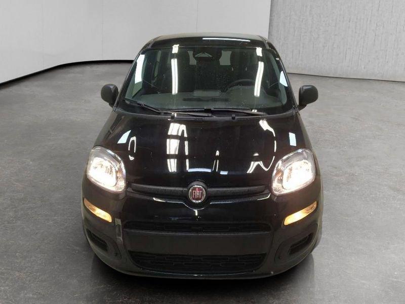 FIAT Pandina 1.0 firefly hybrid Icon s&s 70cv
