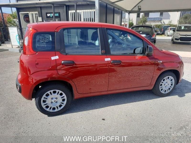 FIAT Pandina PANDA MY26 1.0 65CV HYBRID ICON