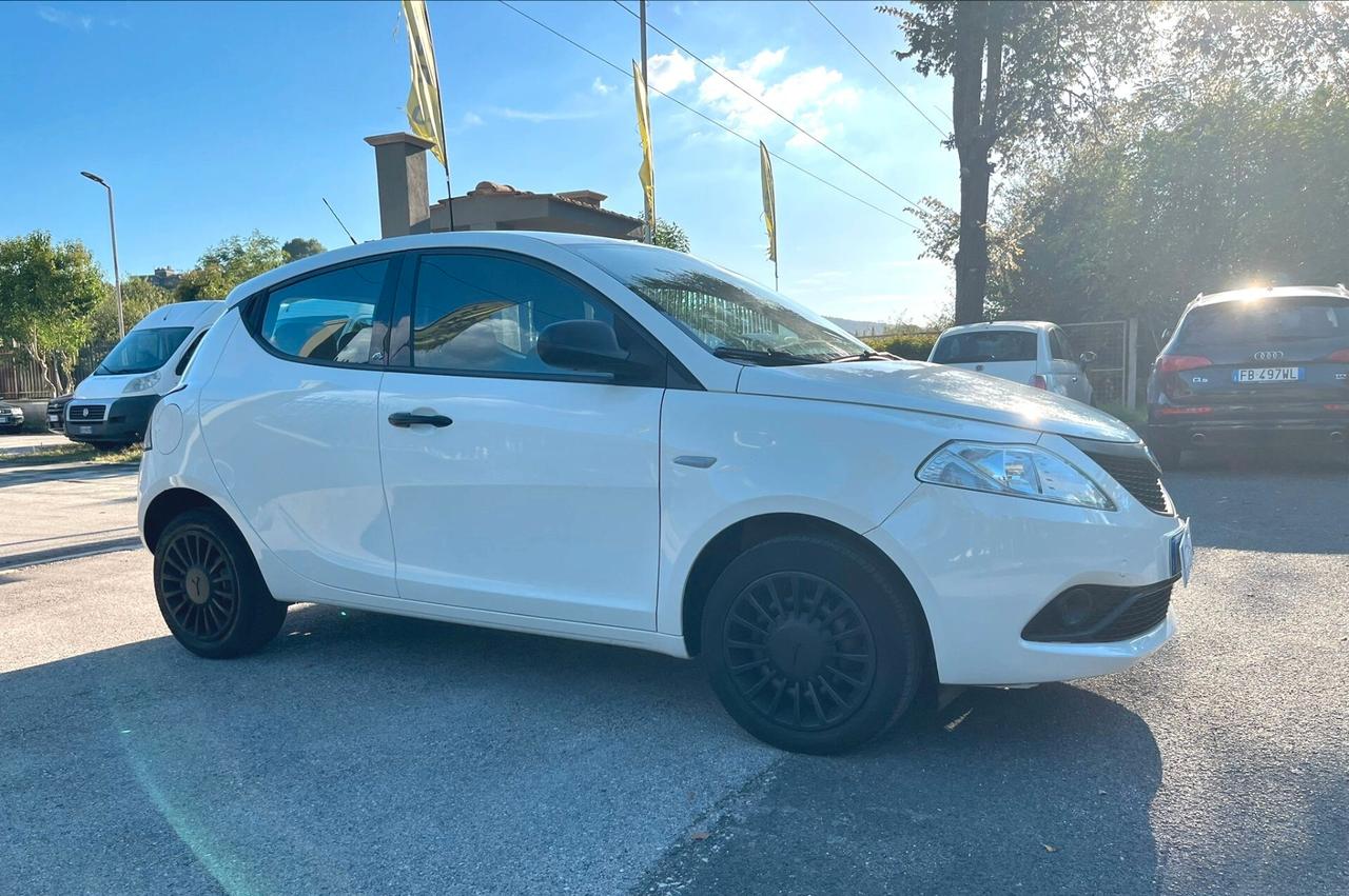 Lancia Ypsilon 1.2 69 CV 5 porte S&S Platinum