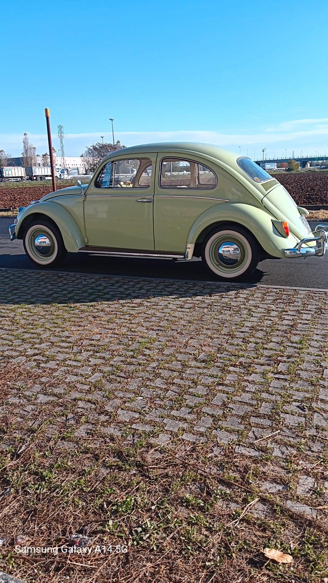 Volkswagen Maggiolino "Nasino"