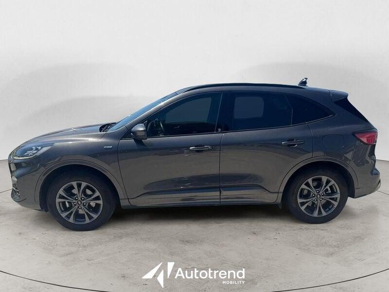 Ford Kuga 2.0 EcoBlue 150 CV AWD Automatica ST-Line