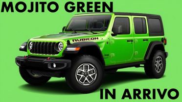 Jeep Wrangler Unlimited 2.0 Turbo Rubicon L.E.