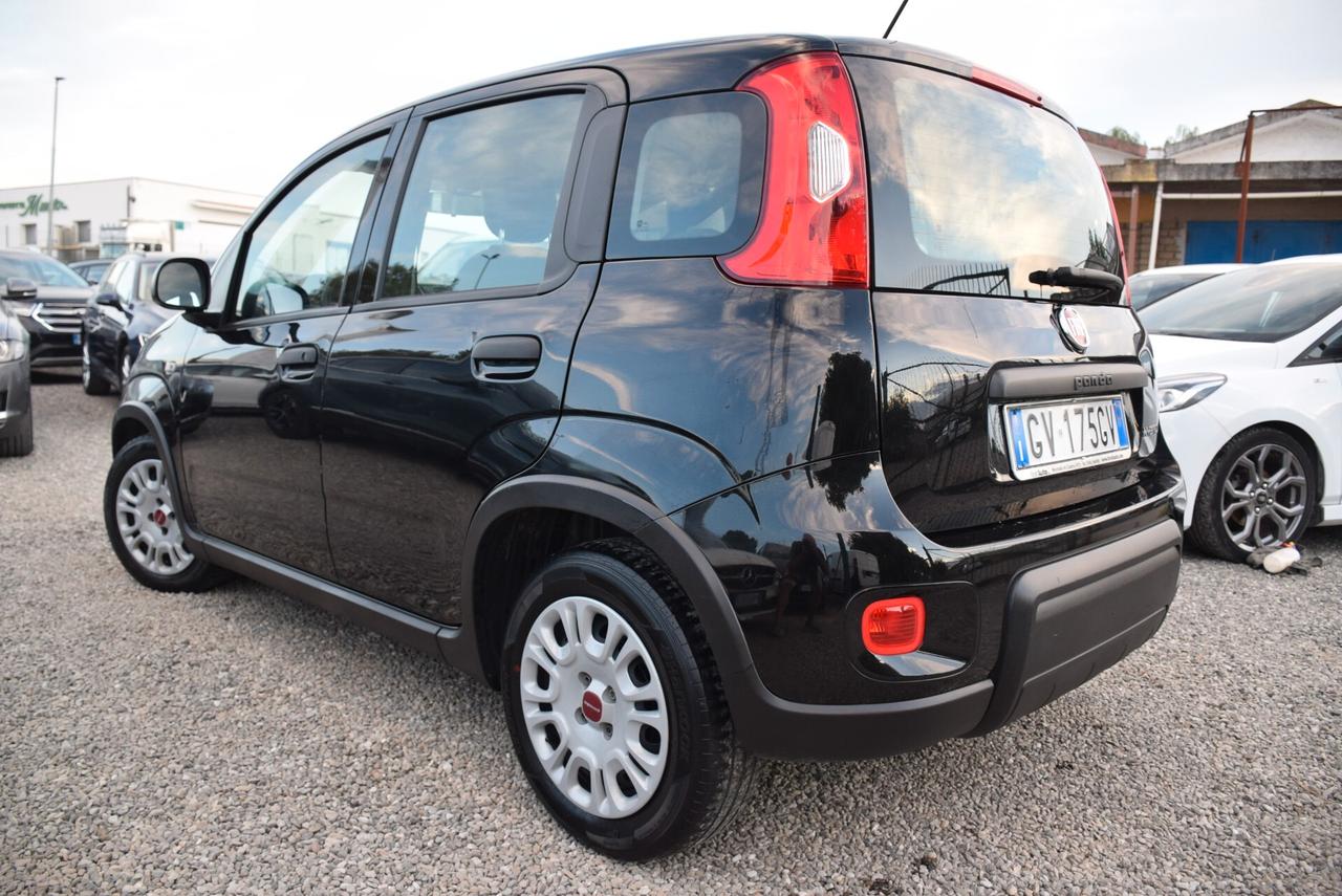 Fiat Panda 1.0 FireFly Hybrid CLIMA BT OK NEOPATENTATI IVA DETR.