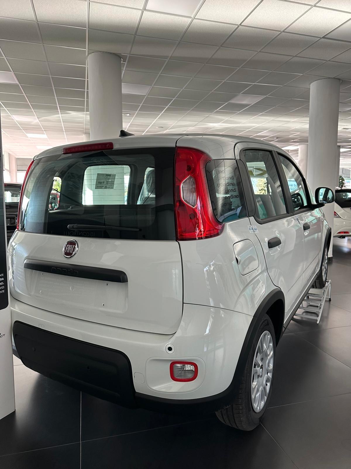 Fiat Panda 2024 PANDINA KM 0 NUOVA FULL