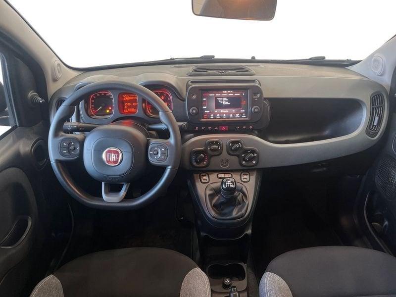 FIAT Panda Panda 1.0 firefly hybrid City Life s&s 70cv 5p.ti