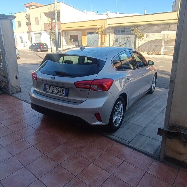 FORD Focus 1.5 EcoBlue 120 CV 5p. Business