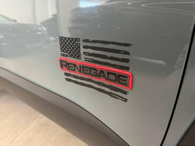 Jeep Renegade 2.0 mjt Trailhawk 4wd 170cv auto