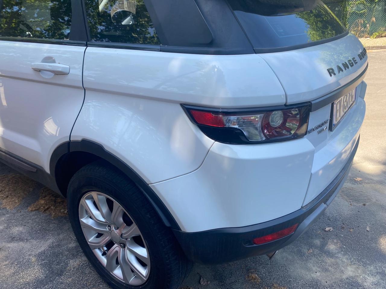 Land Rover Range Rover Evoque 2.0D I4 163 CV S anno 2014